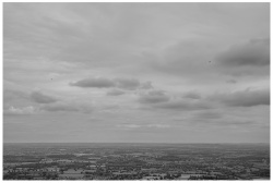 The View