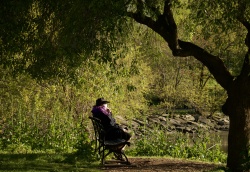 Alone