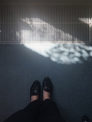 The Other Office