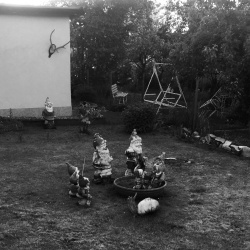 Allotment
