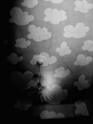 Cloud Project