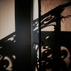 Chinese shadows, Paris, France