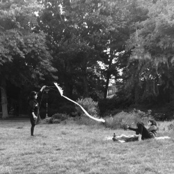 Fly your kite