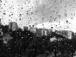 1st of June