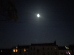 Moonshine