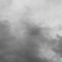 above us