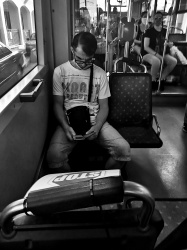 Bus
