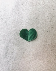 #day77
