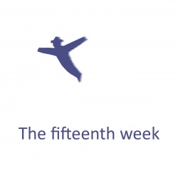 The fifteenth week