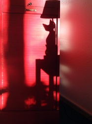 When the sun shines in my living room in the morning When the sun shines in my living room in the morning