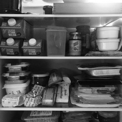 Fridge Fridge