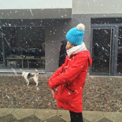 snowy springtime snowy springtime
