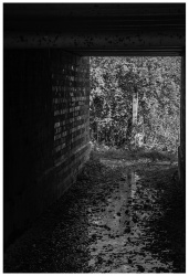Under the Tracks