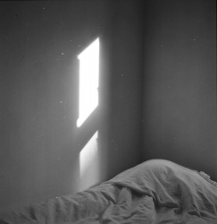 Michala Norup