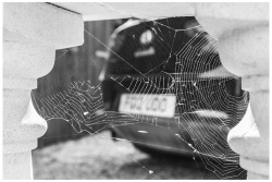 Web