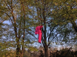 Lost and found