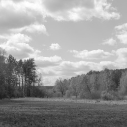 Easter walk
