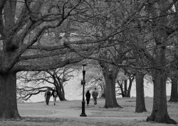 A walk by the river