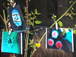 shopwindow decoration