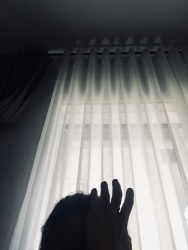 #day31