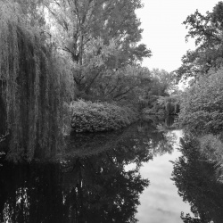 In the Tiergarten